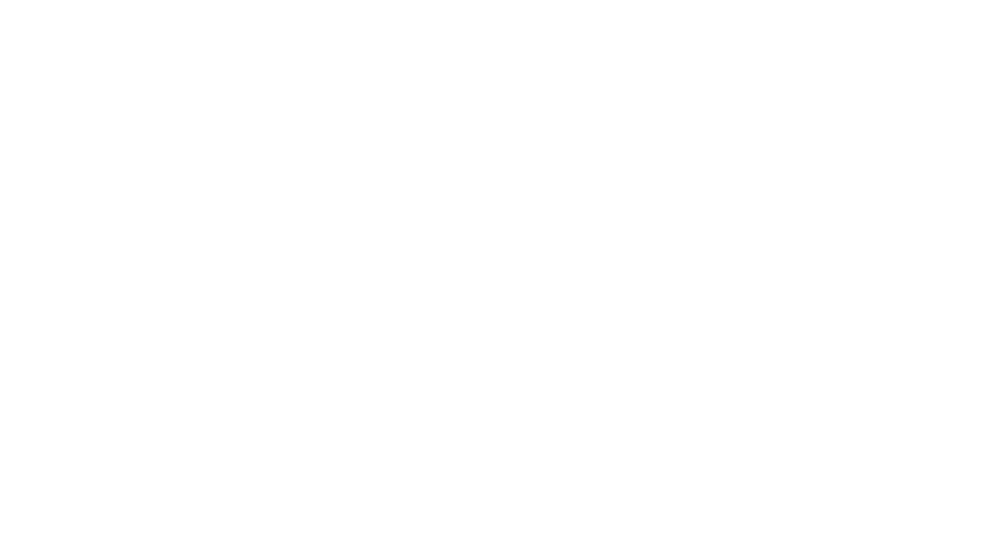 STEALTH PADEL official logo