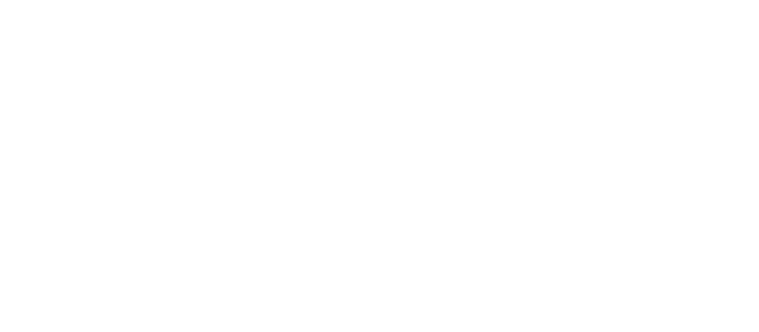 D10 WORLD official logo