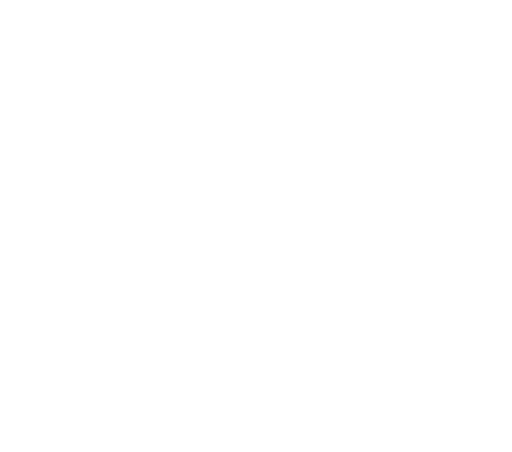 STIGA SPORTS official logo