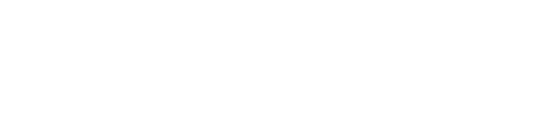 FLOKY official logo